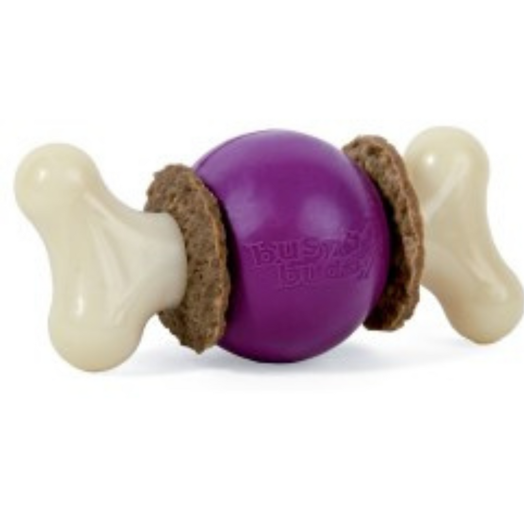 BUSY BUDDY BOUNCY BONE