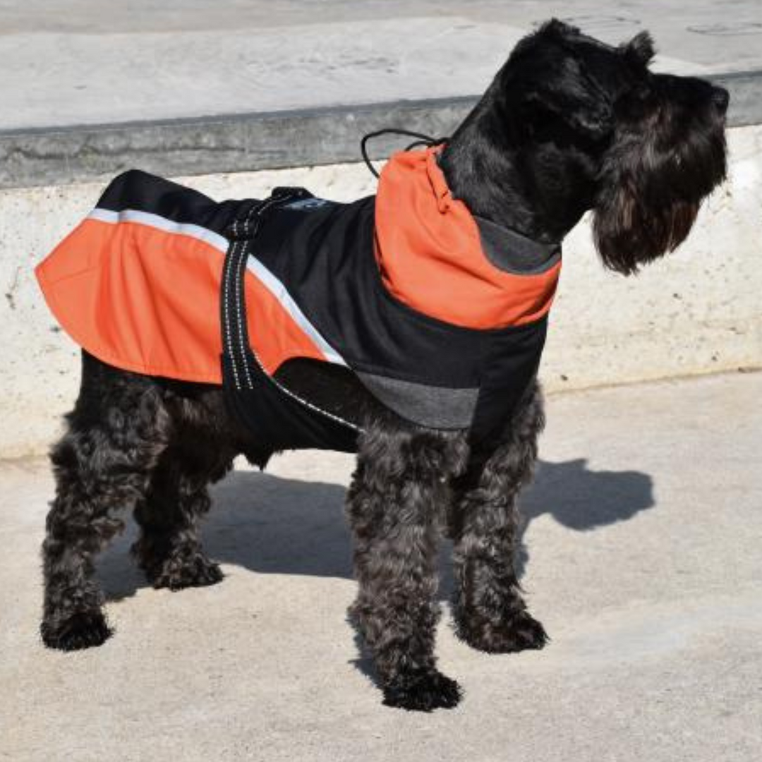 Abrigo Impermeable Ligero para Perros – Adaptabilidad y Protección en Cualquier Clima