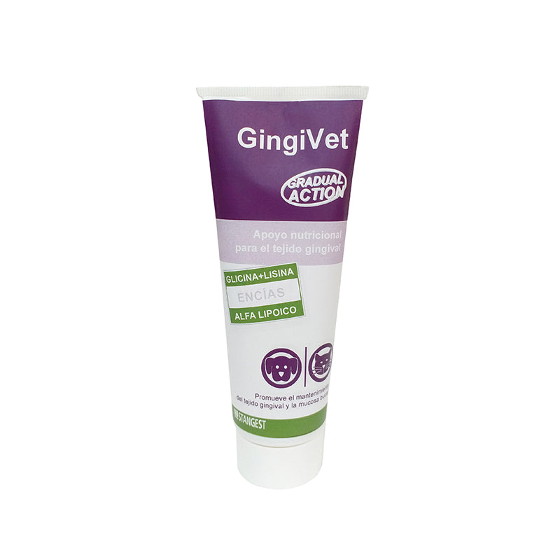 GINGIVET PASTA