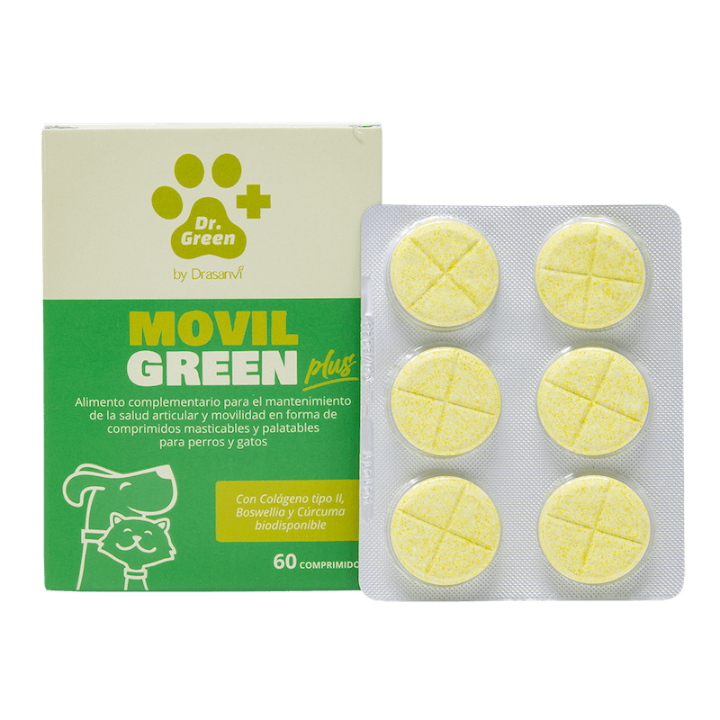 🐾 MovilGreen Plus – Soporte articular avanzado para perros con necesidades especiales