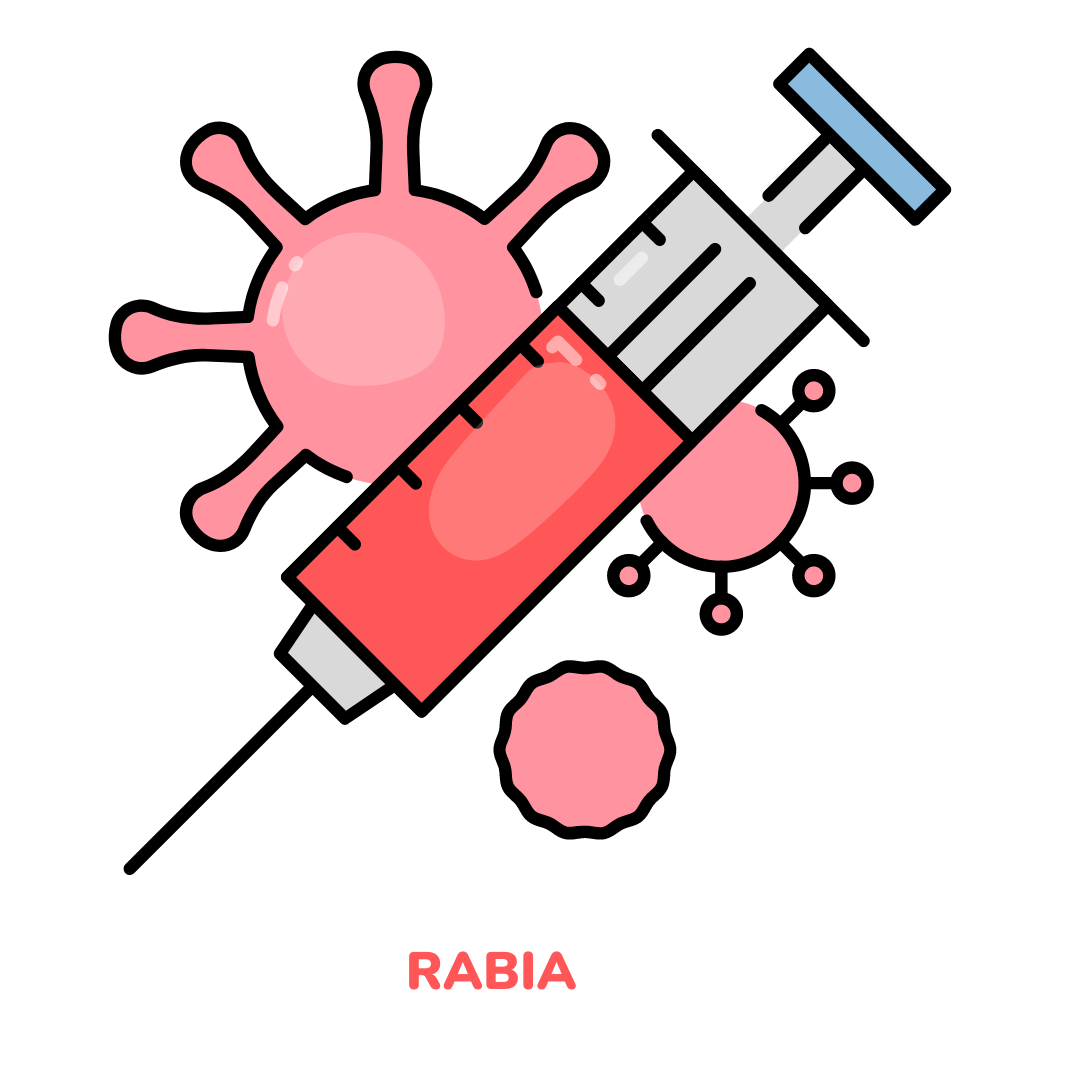 VACUNA RABIA