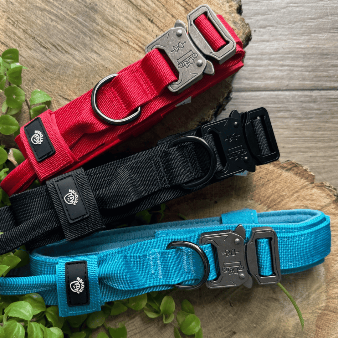 🪨 Colección “Roca &amp; Ruta” – Collares de Alta Resistencia para Perros Fuertes