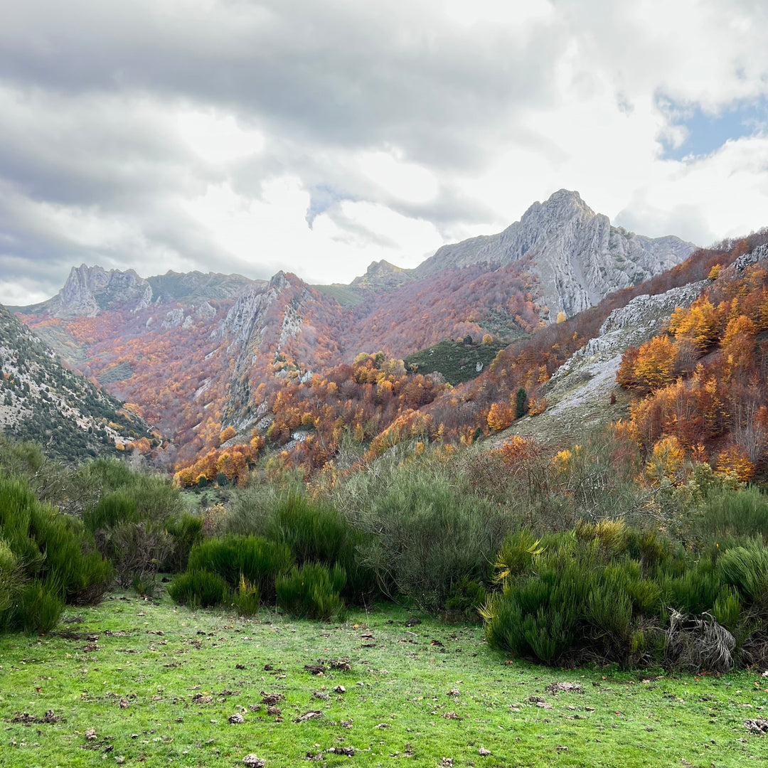 Colección Mountain