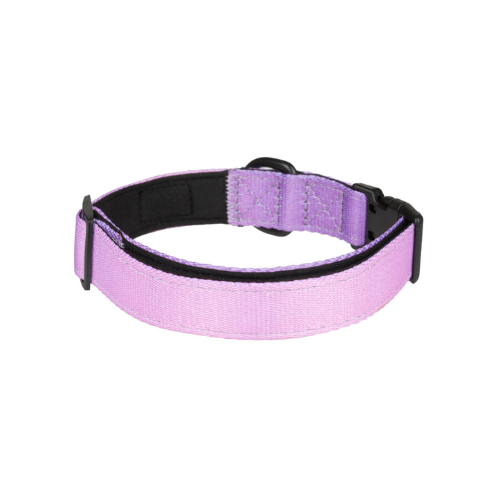 COLLAR LAVANDA VETOVEN