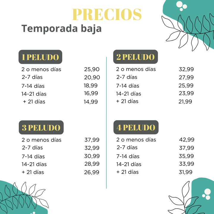 Habitaciones de Gato