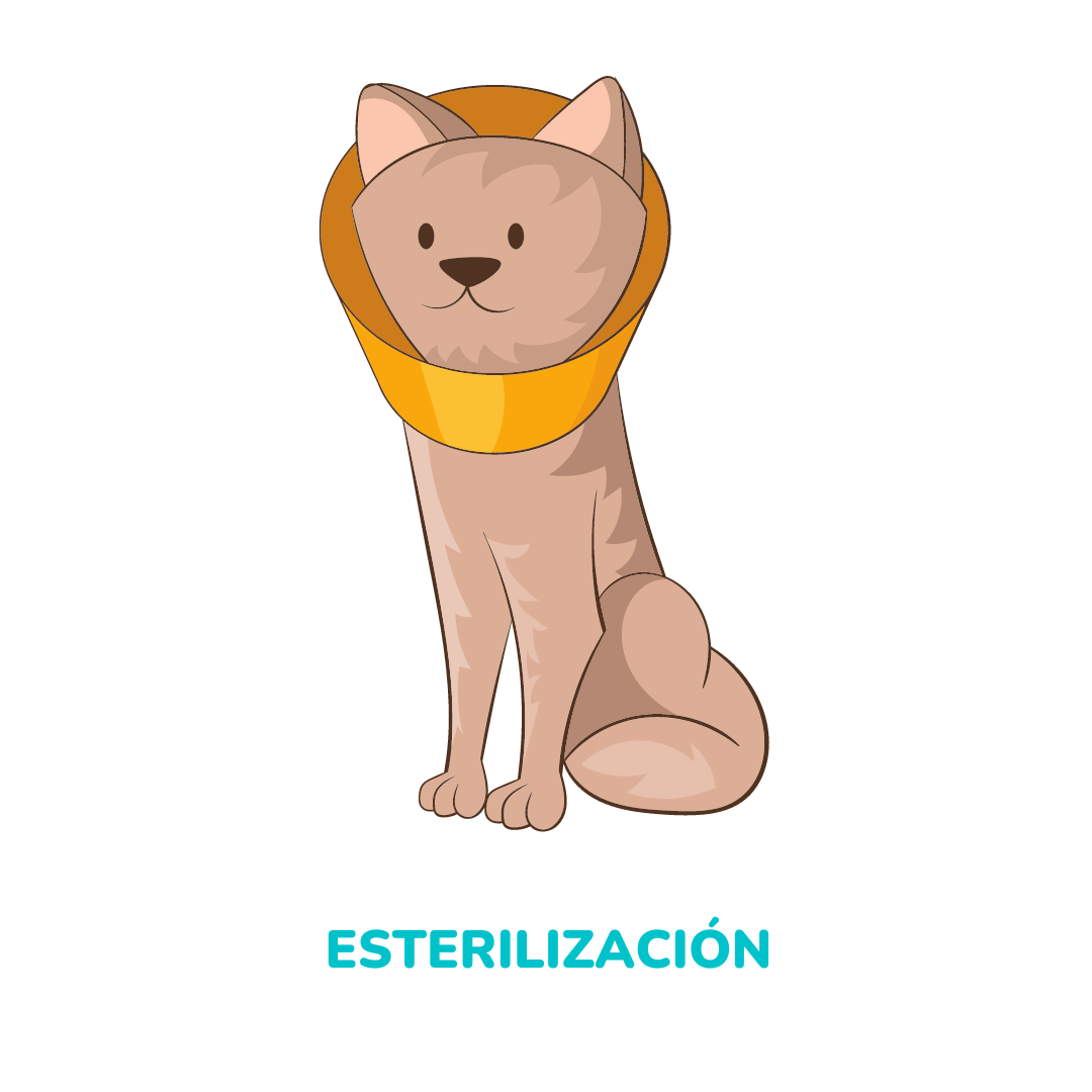 ESTERILIZACIÓN