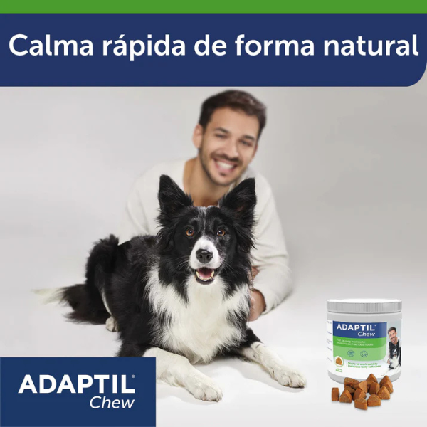 Adaptil Chews: Suplemento Natural para el Manejo del Estrés y la Ansiedad en Perros