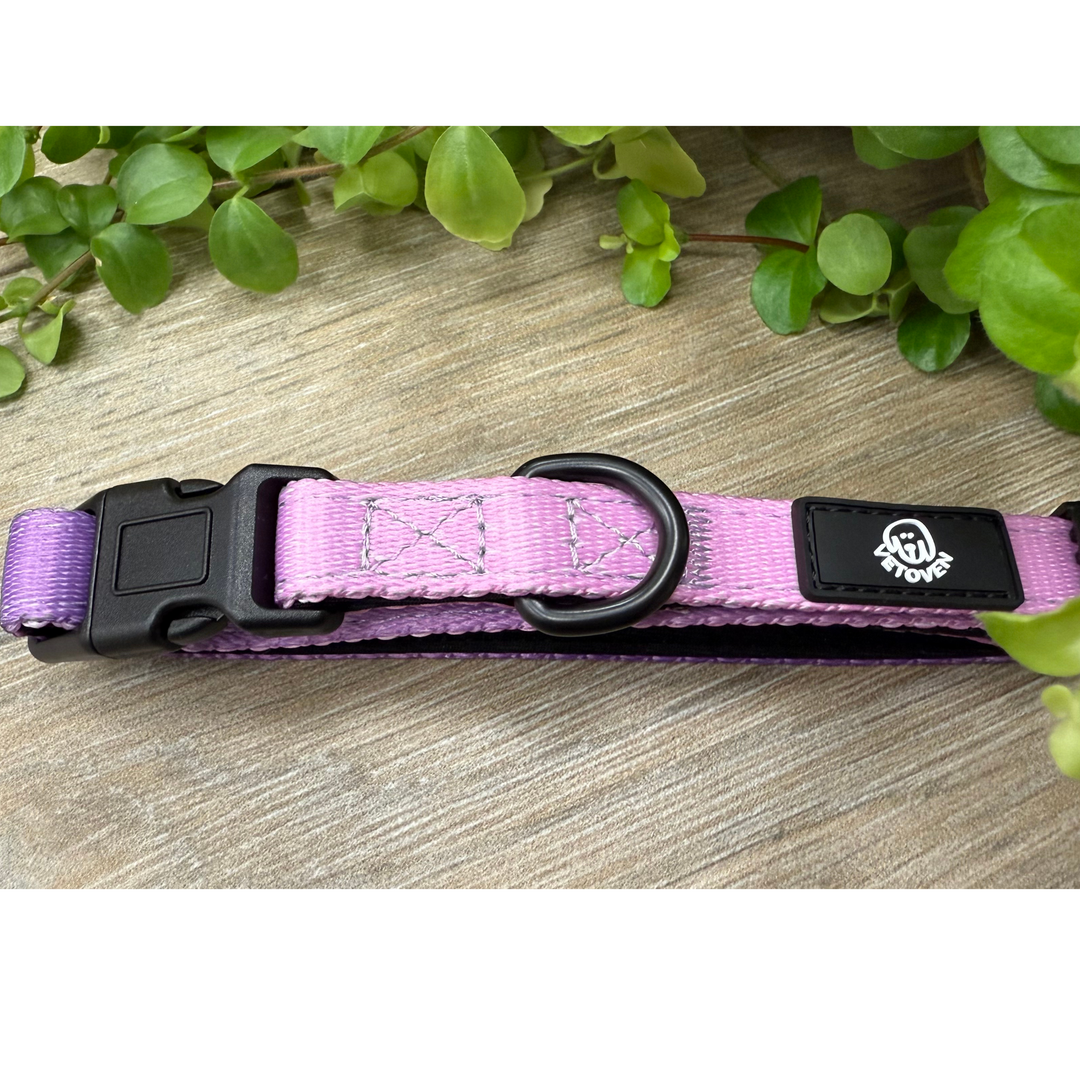 Collar Lavanda Vetoven