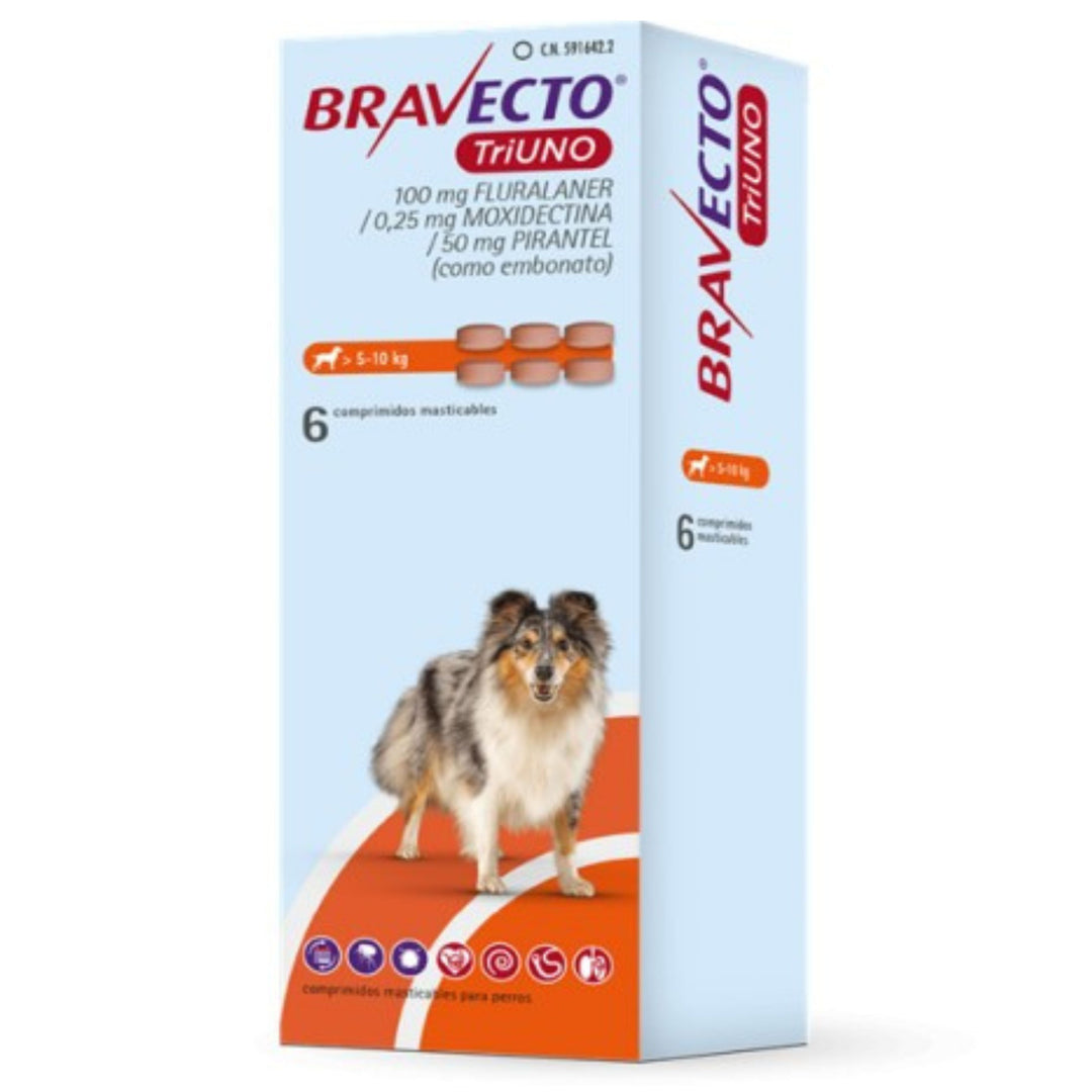 Bravecto Triuno: protección interna y externa en un solo antiparasitario