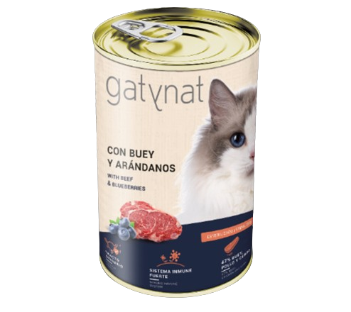 GATYNAT LATA GATO