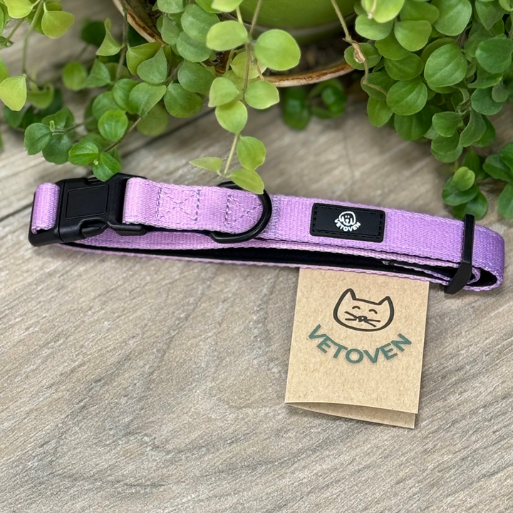 Collar Lavanda Vetoven