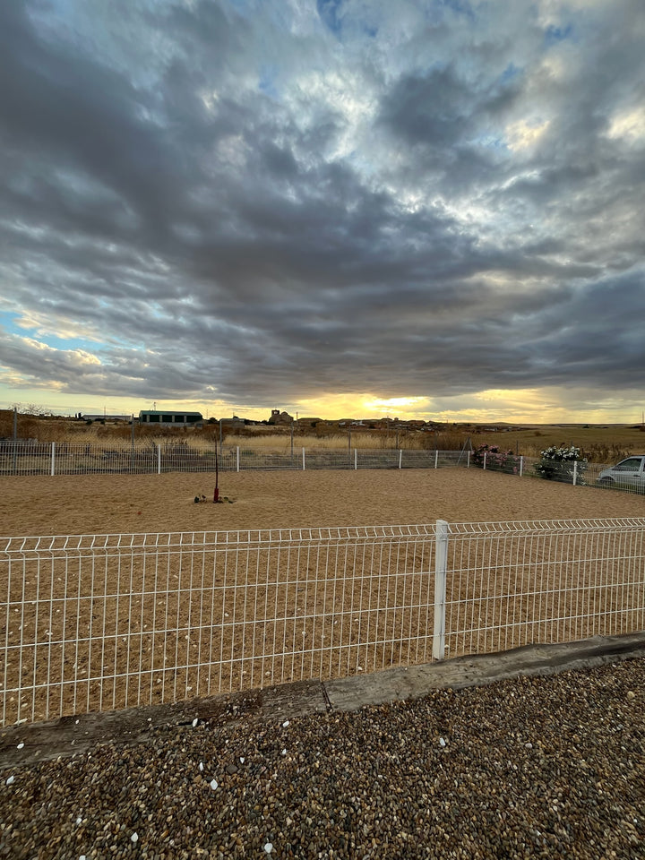 Habitaciones de Perro