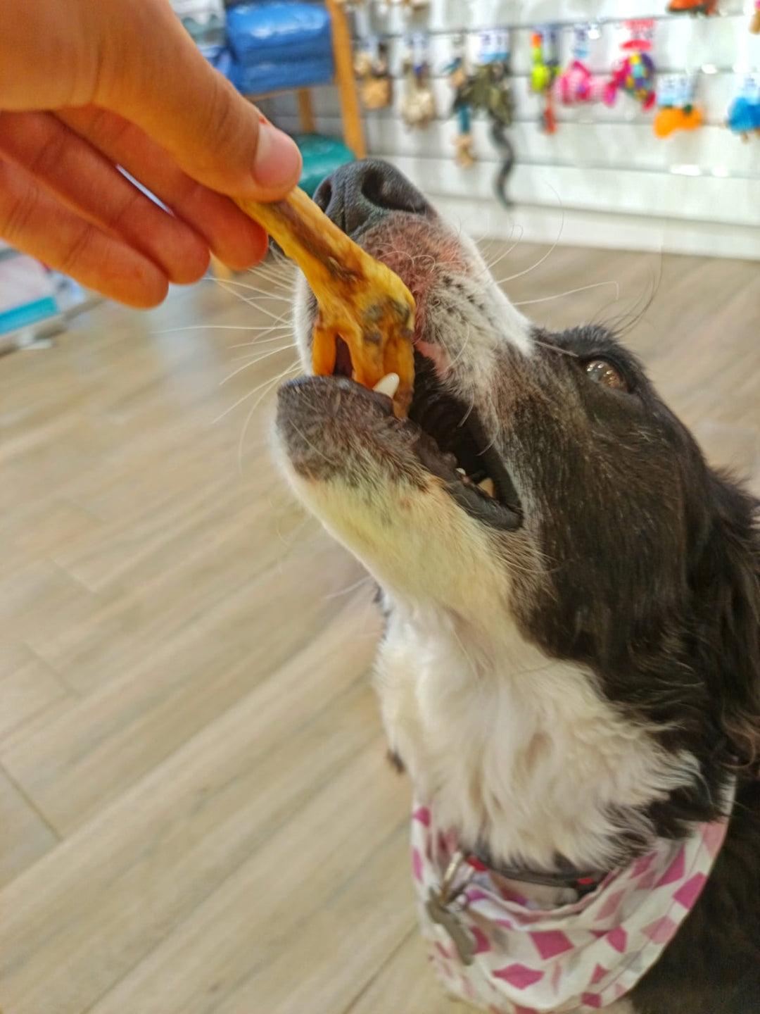 snack PATAS DE POLLO