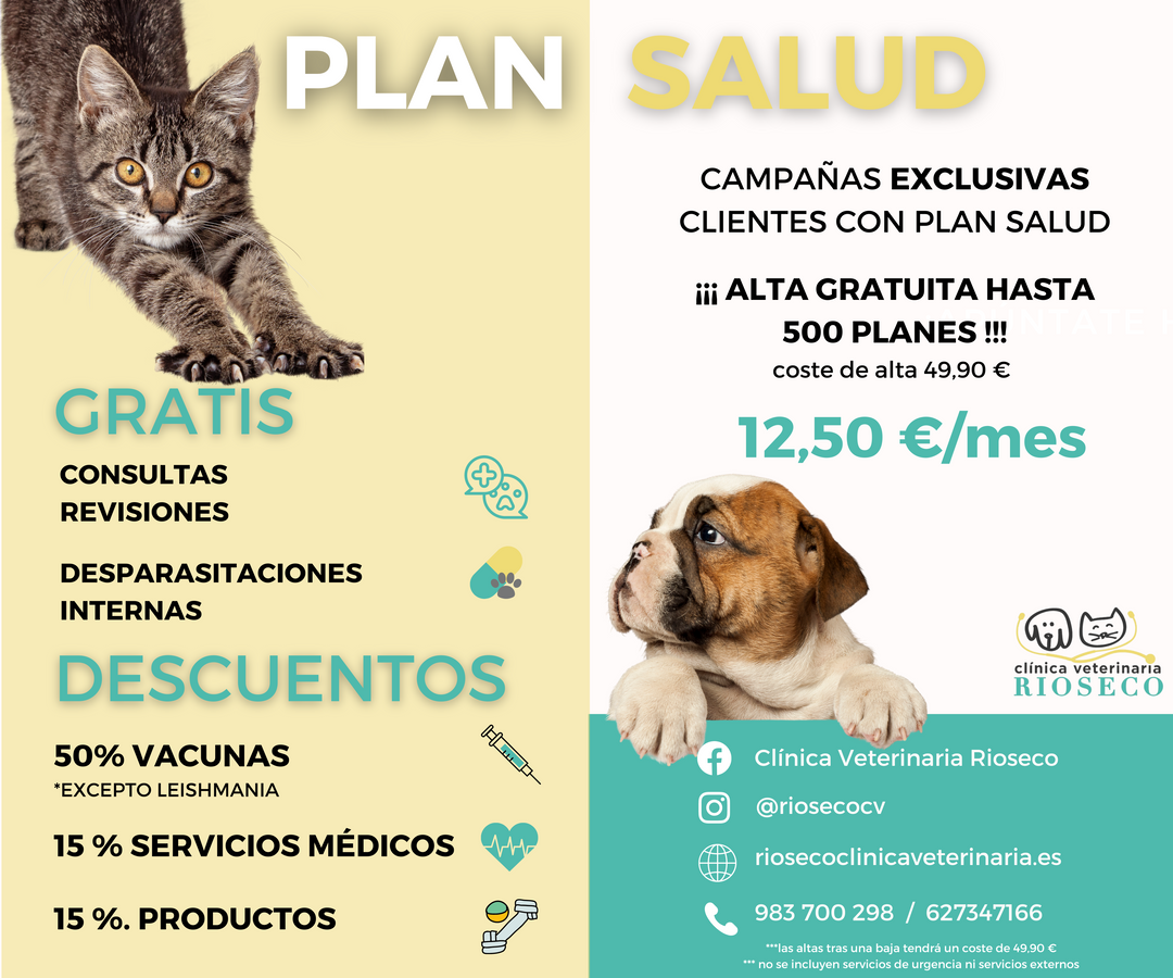 PLAN DE SALUD