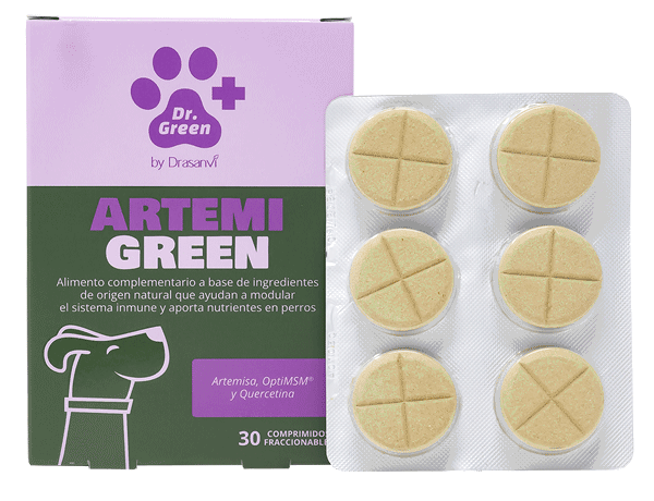 ARTEMIGREEN 30 COMPRIMIDOS PERRO DR.GREEN