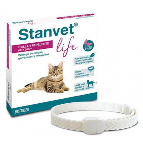 STANGEST COLLAR STANVET LIFE