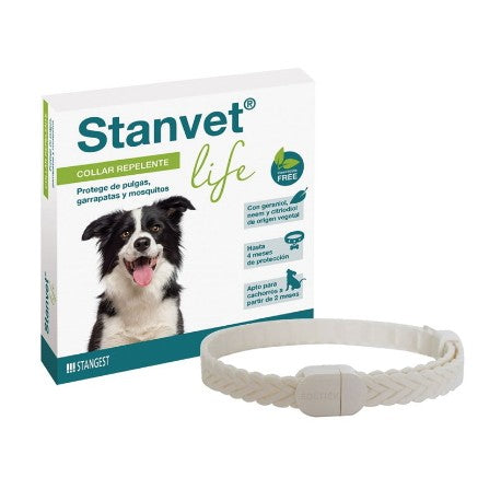 STANGEST COLLAR STANVET LIFE