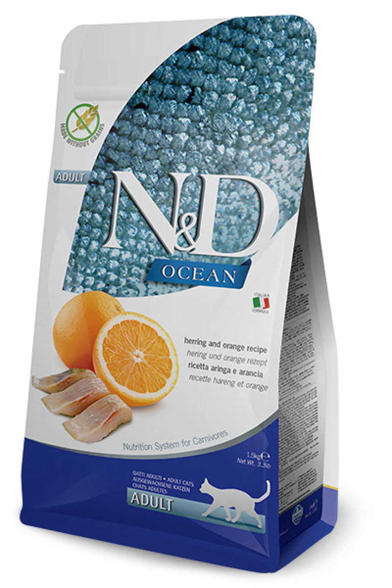 N&D OCEAN CAT ARENQUE,NARANJA