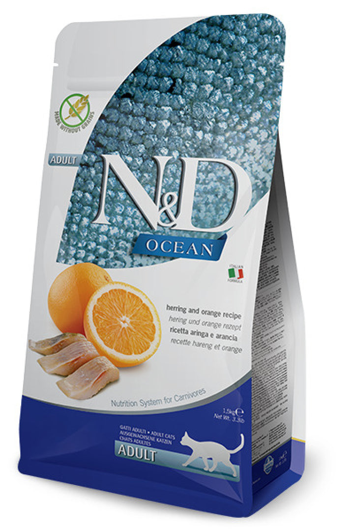 N&D OCEAN CAT ARENQUE,NARANJA