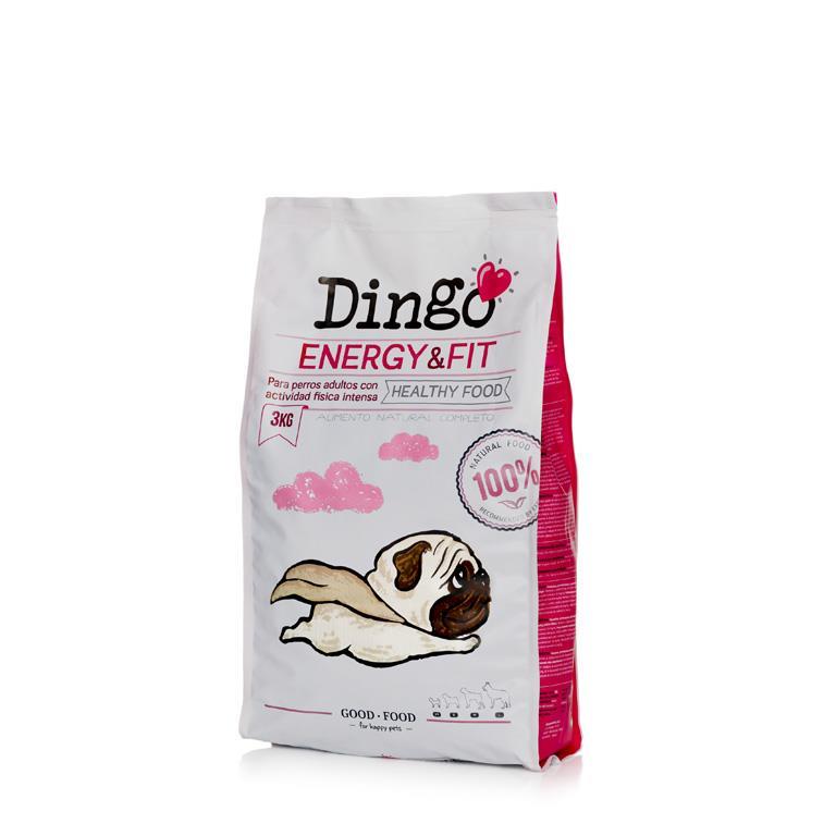 Dingo Energy & Fit