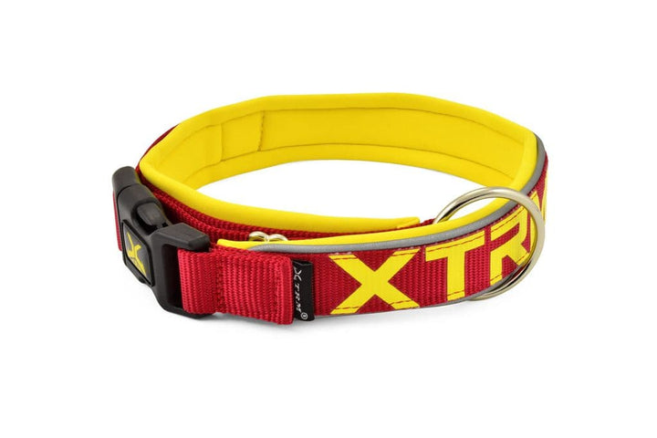 COLLAR X-TRM NEON FLASH